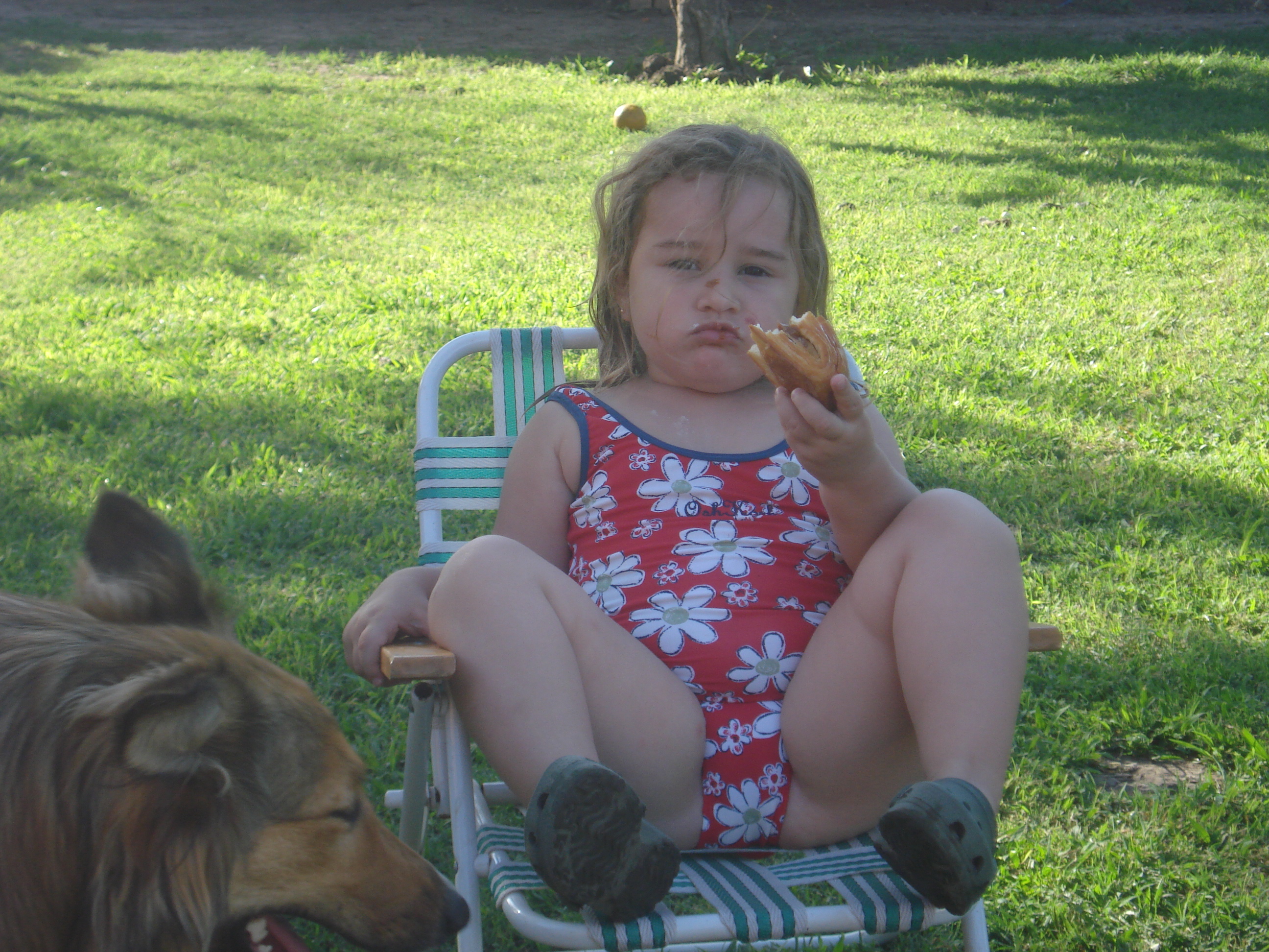 fotos/2012-12-24 - Navidad y pileta/DSC05049.JPG